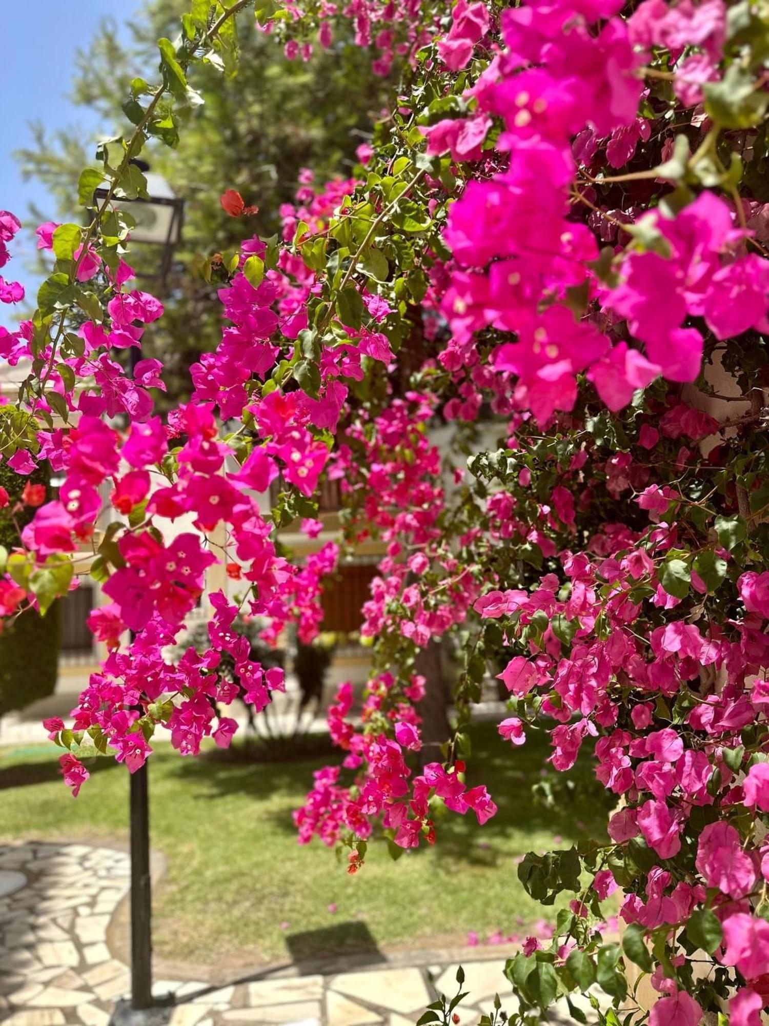 Casa Veranera Vera Costa Playas de Vera Екстериор снимка