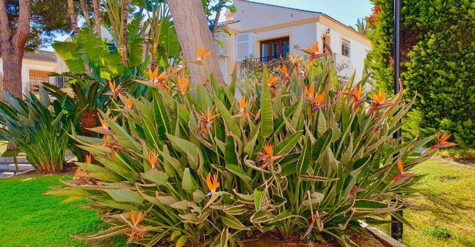 Casa Veranera Vera Costa Playas de Vera Екстериор снимка