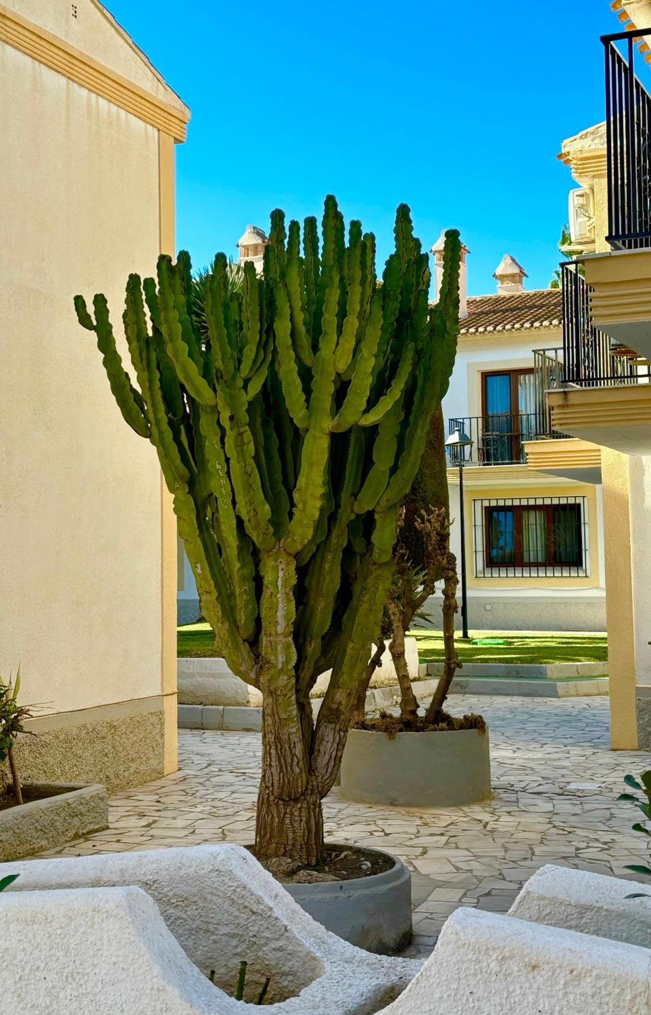 Casa Veranera Vera Costa Playas de Vera Екстериор снимка
